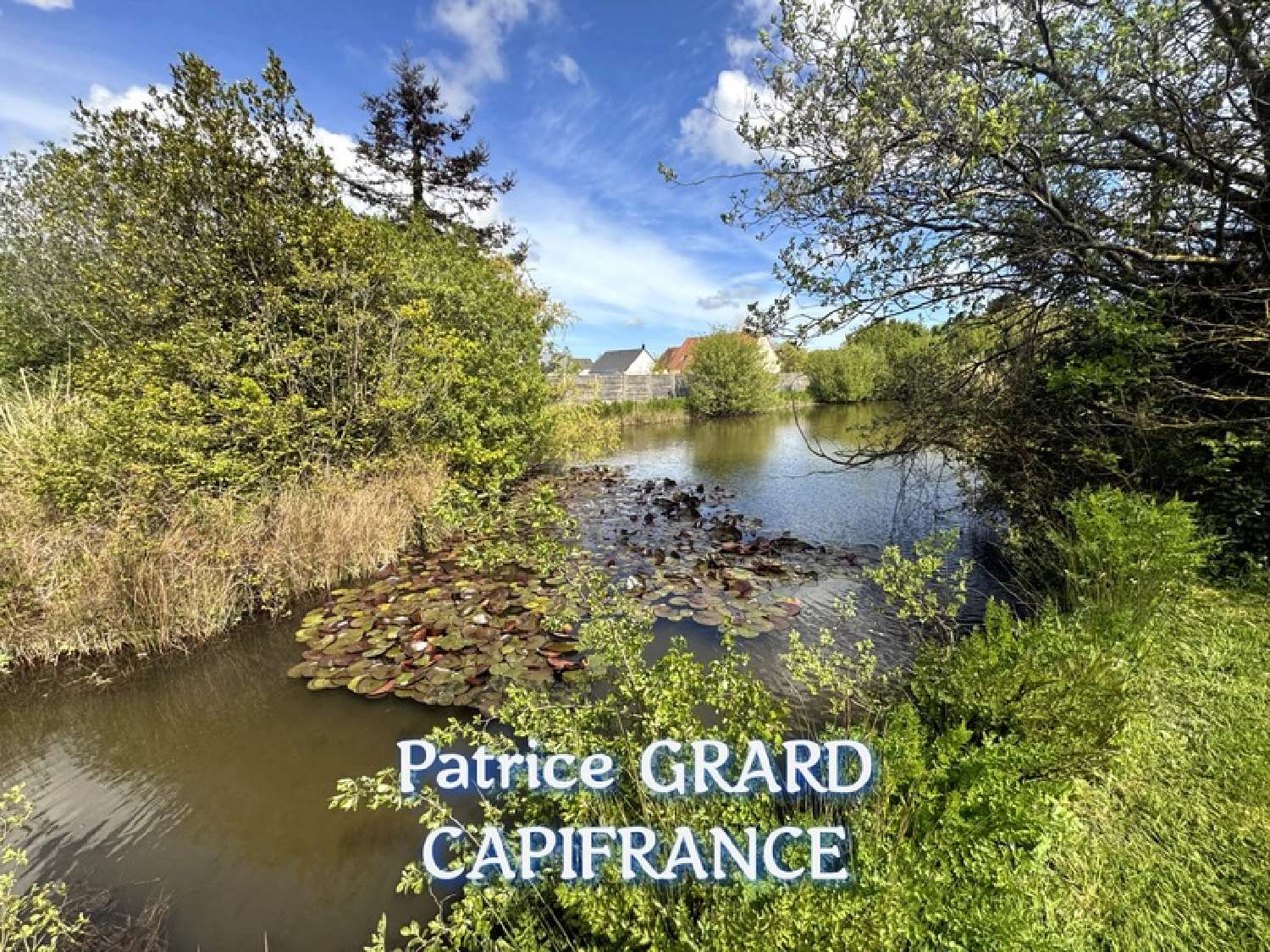  for sale estate Le Ham Manche 4