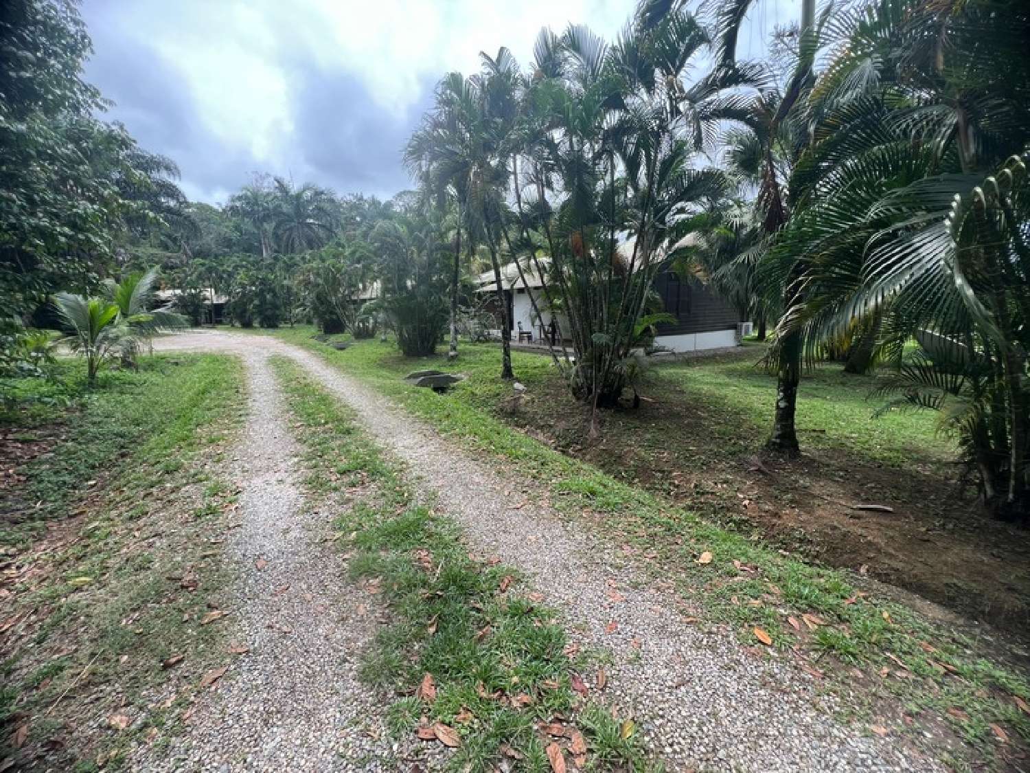  te koop landgoed Matoury Guyane 7