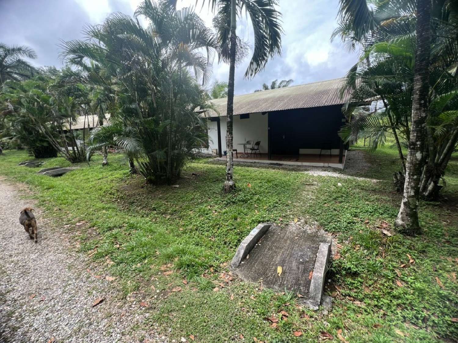  te koop landgoed Matoury Guyane 8