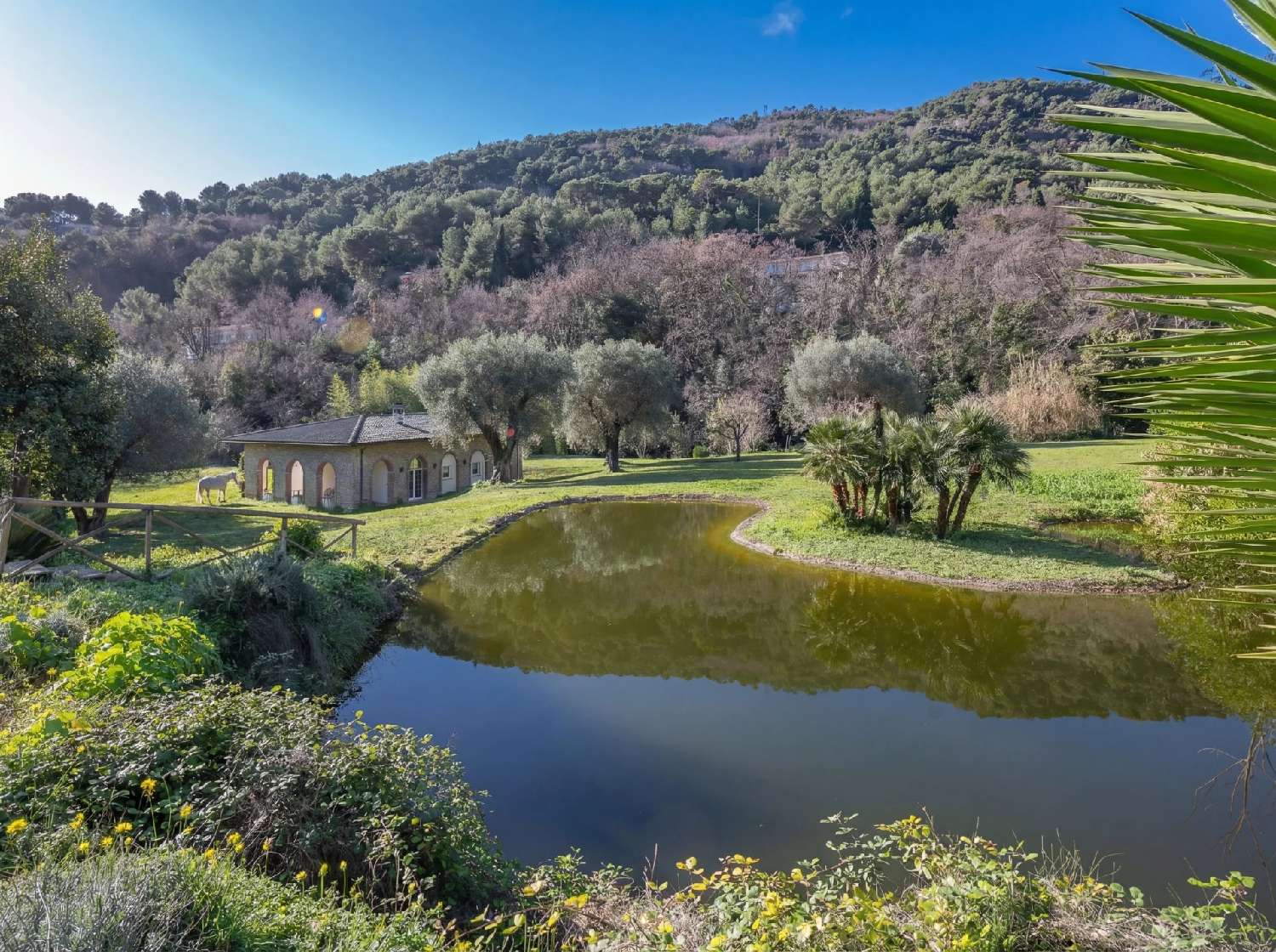  en venta finca rústica Menton Alpes-Maritimes 2