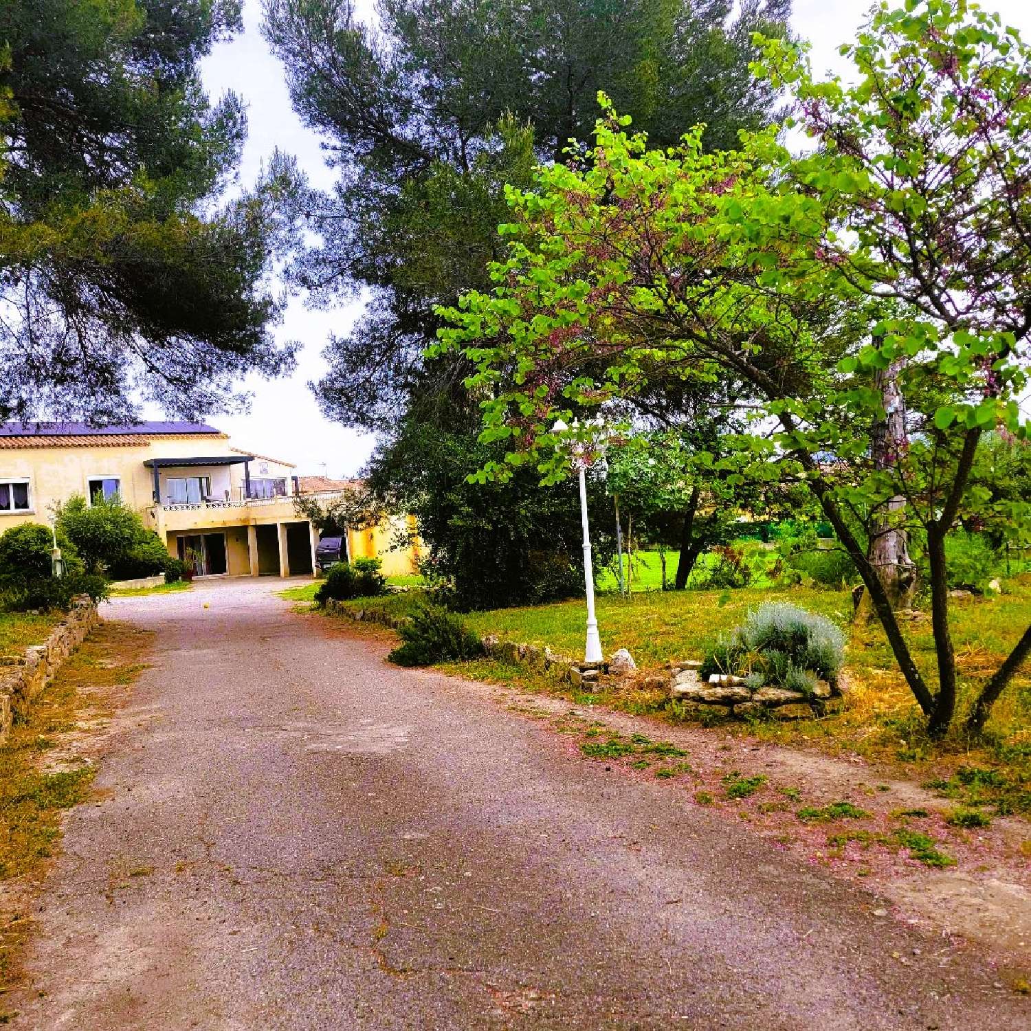  en venta finca rústica Montbazin Hérault 2