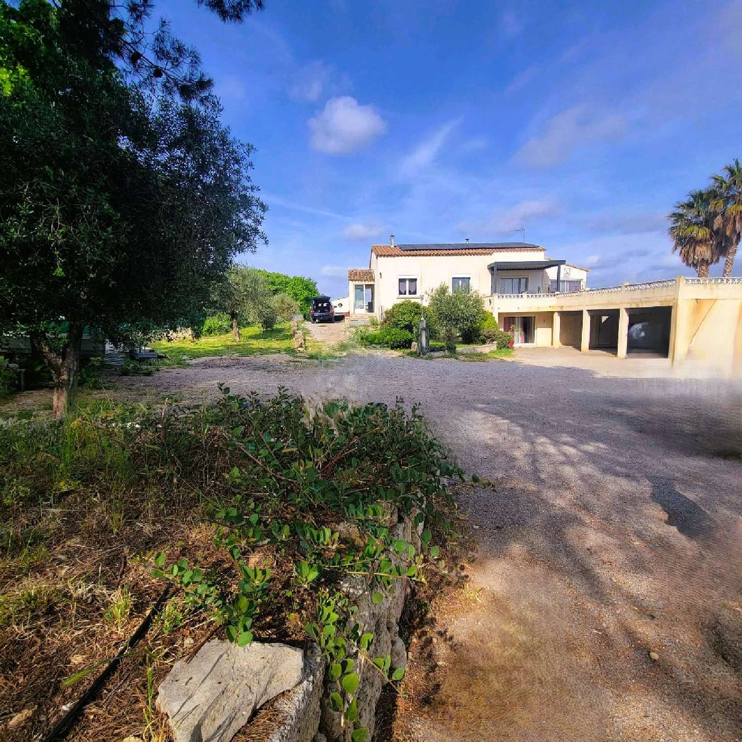  en venta finca rústica Montbazin Hérault 4