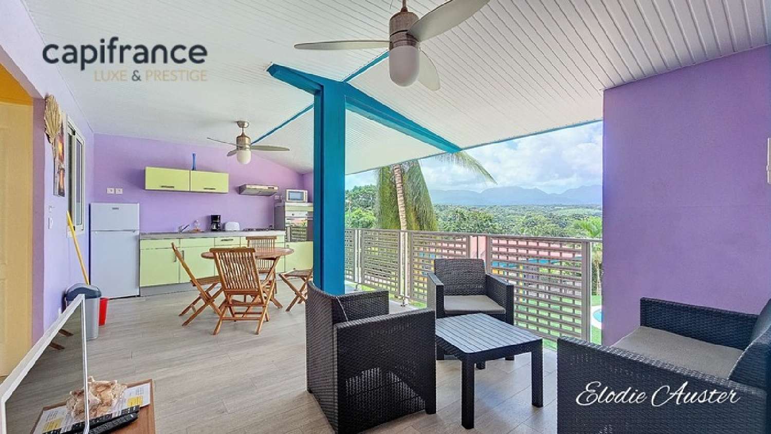  en venta finca rústica Petit-Bourg Guadeloupe 6