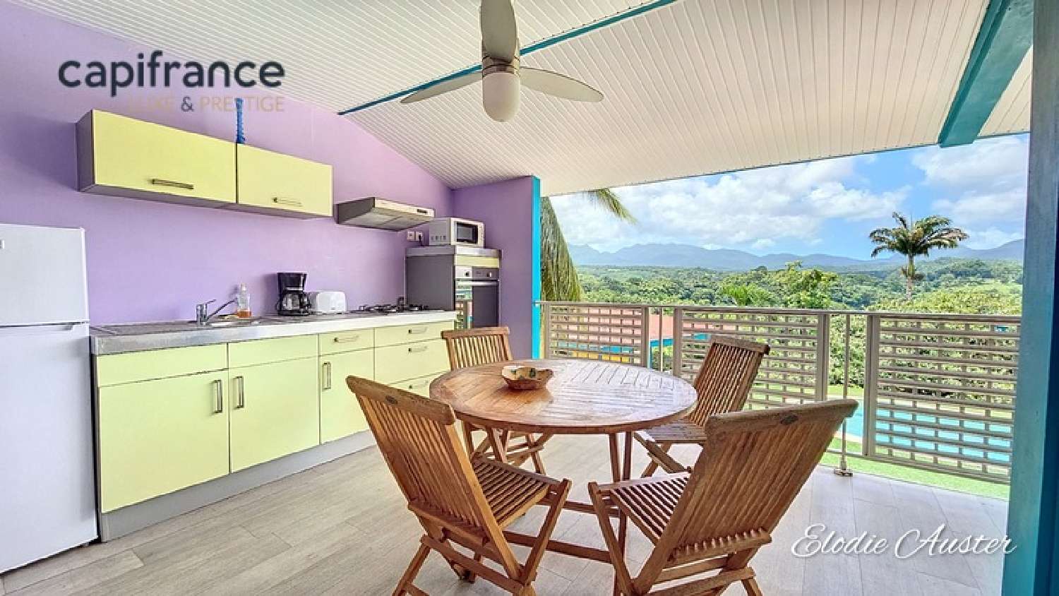  en venta finca rústica Petit-Bourg Guadeloupe 8