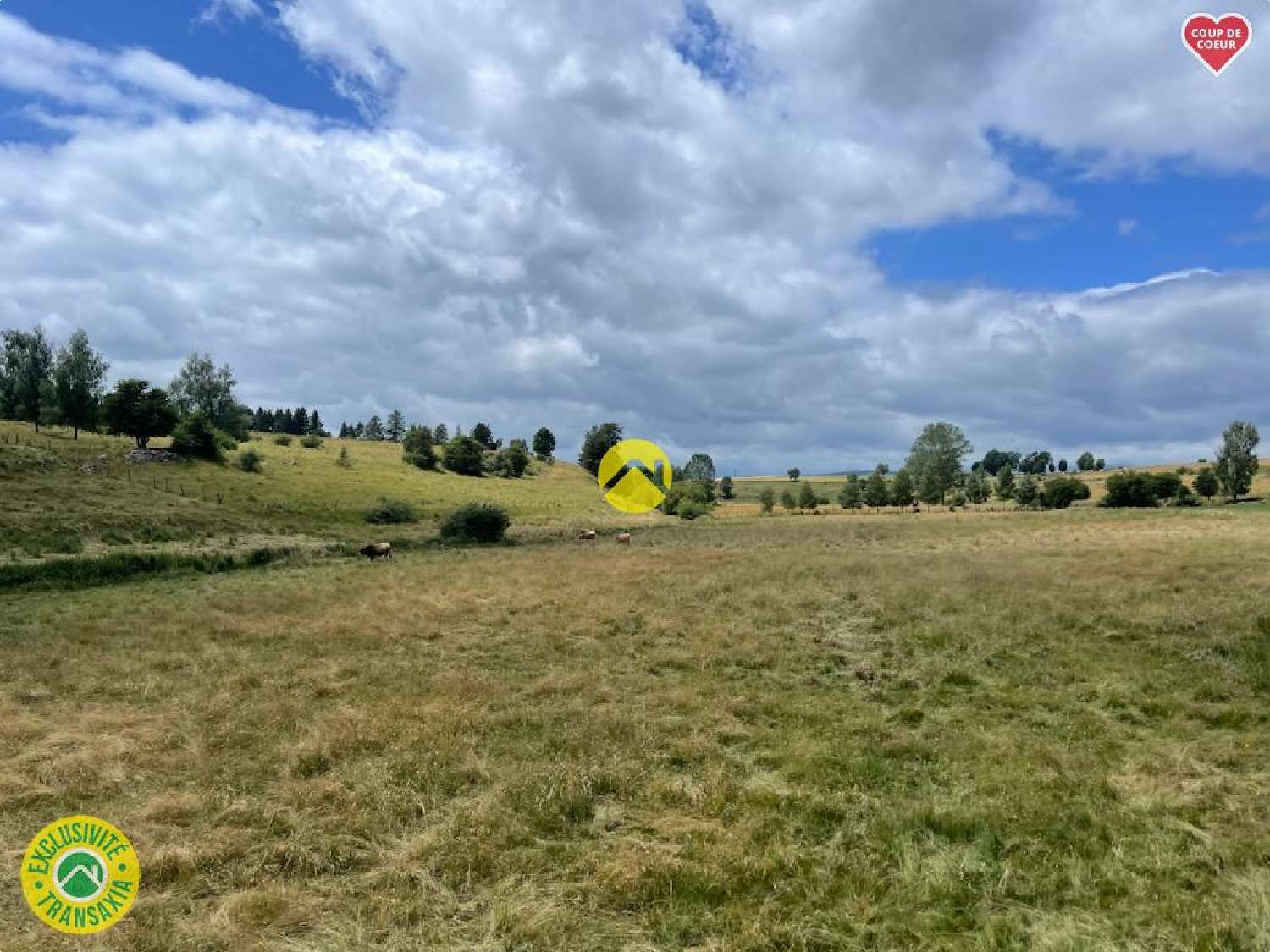 te koop landgoed Pierrefort Cantal 8