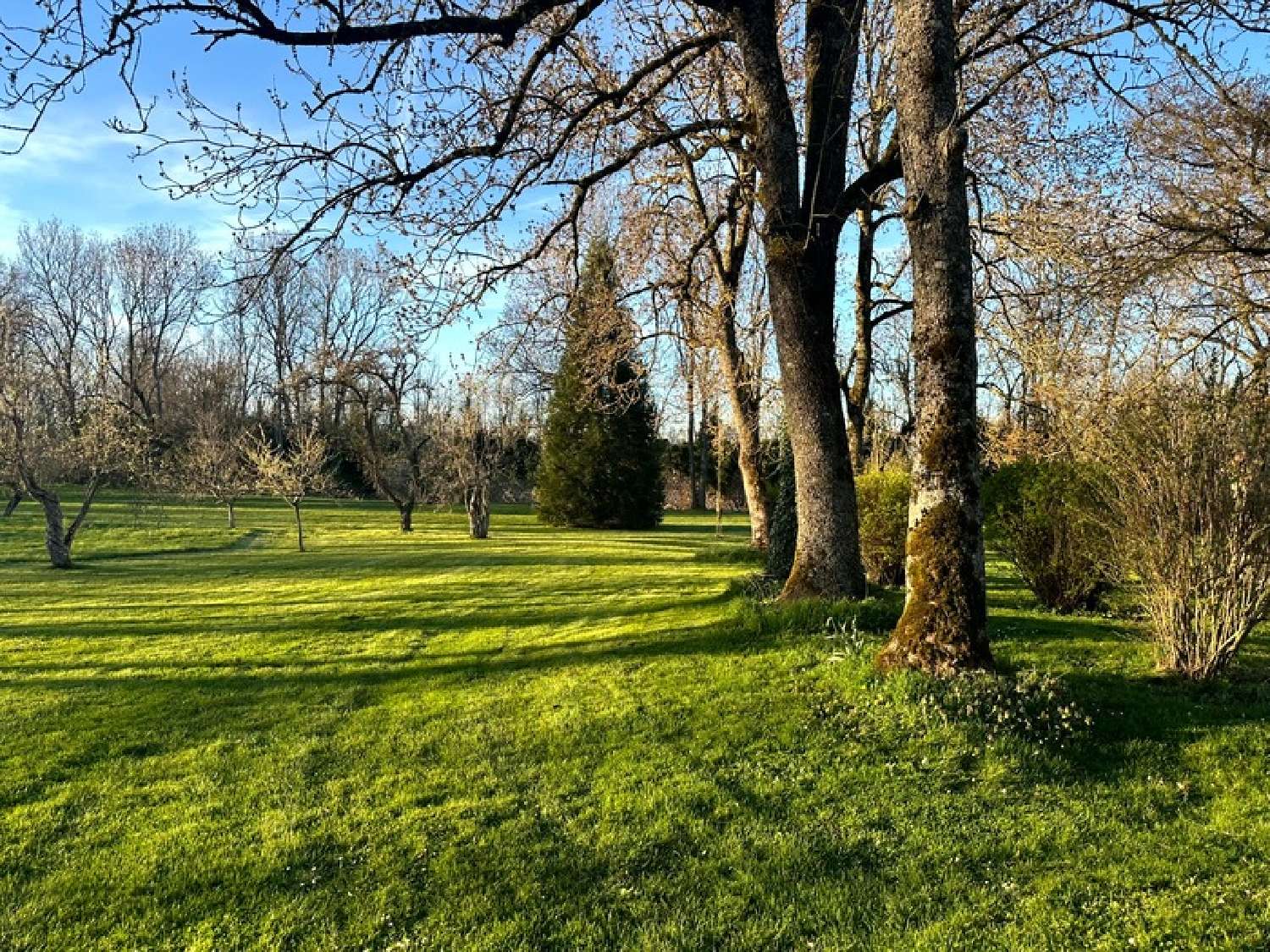  en venta finca rústica Pouilly-en-Auxois Côte-d'Or 5