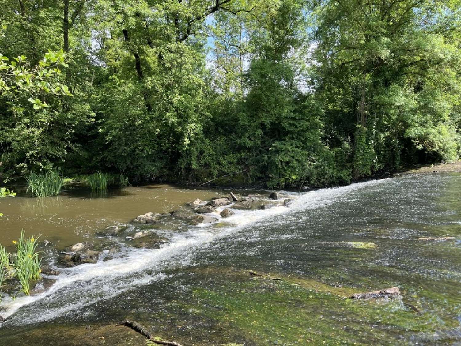  à vendre propriété Rocheservière Vendée 2