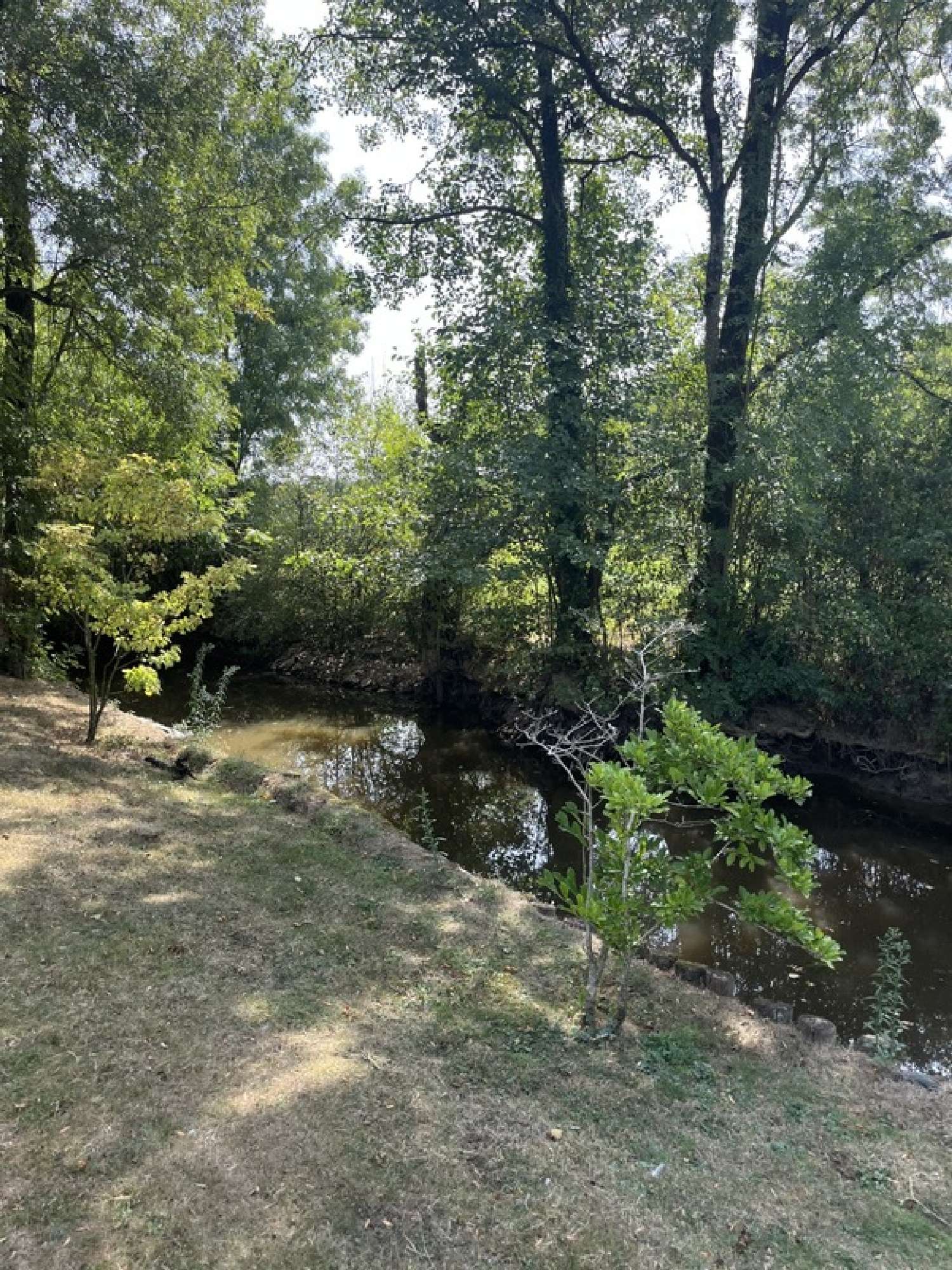  à vendre propriété Rocheservière Vendée 6
