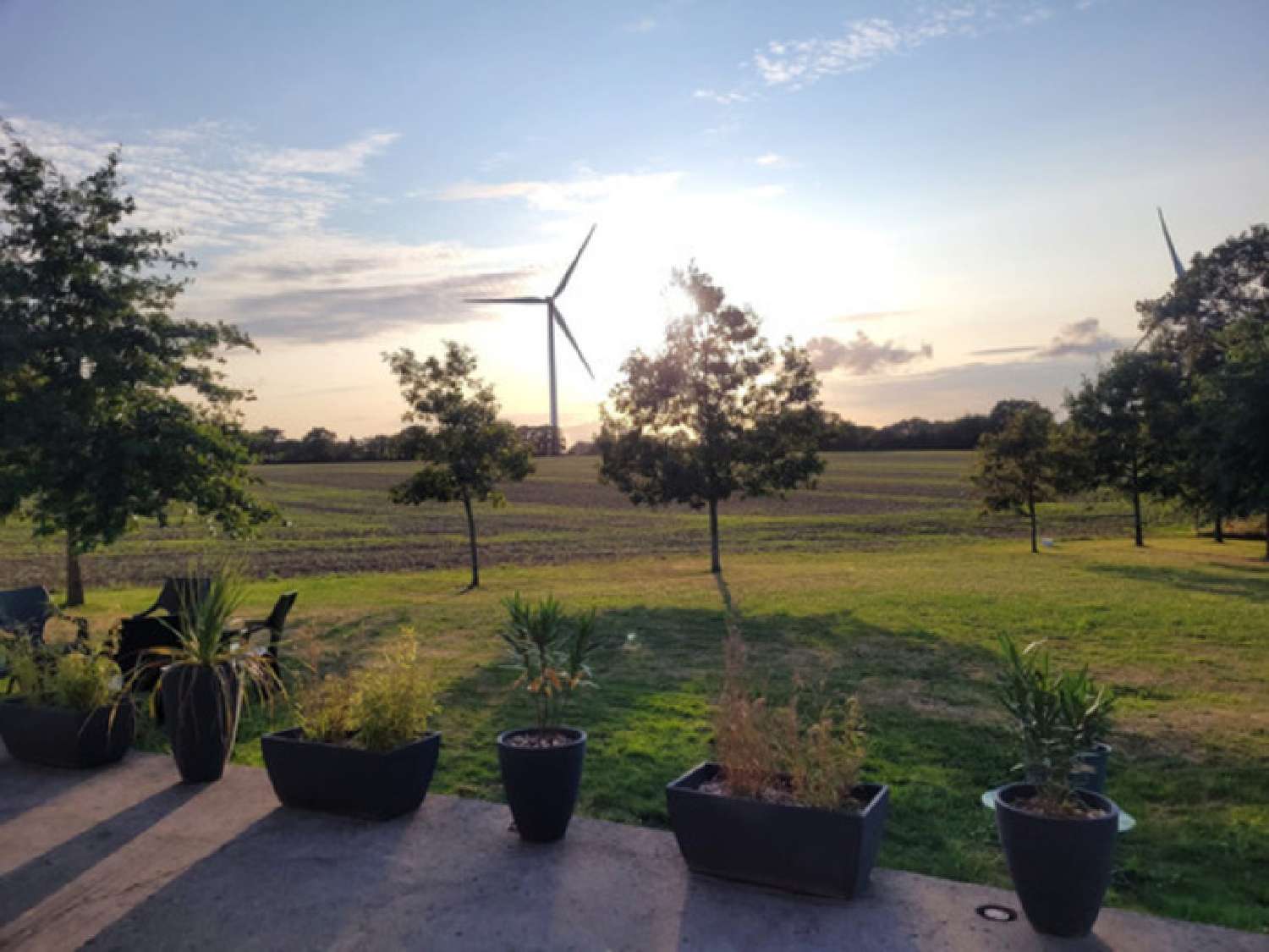à vendre propriété Saint-Christophe-du-Bois Maine-et-Loire 6