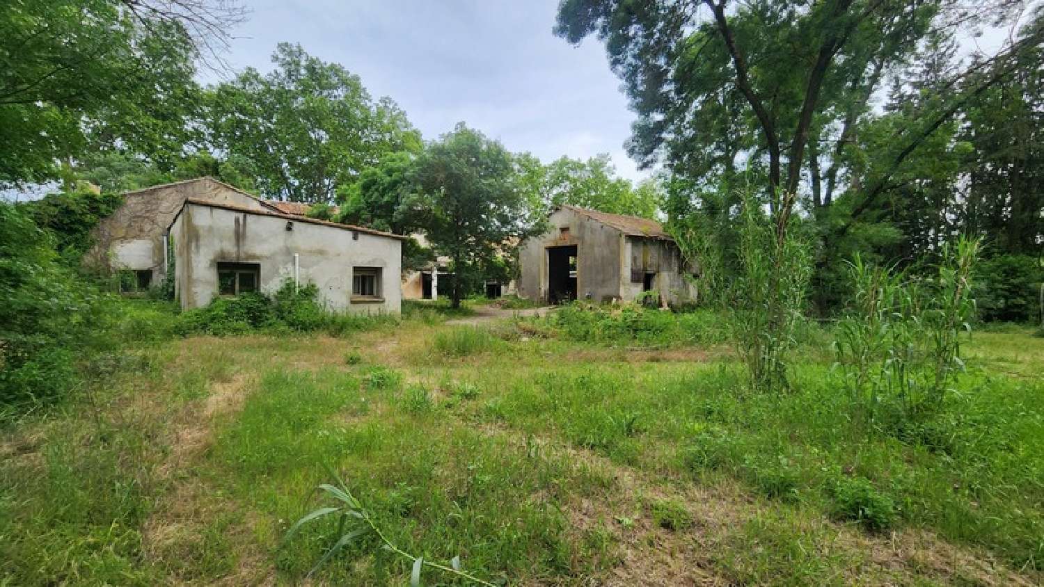 kaufen Landgut Saint-Jean-de-Védas Hérault 6
