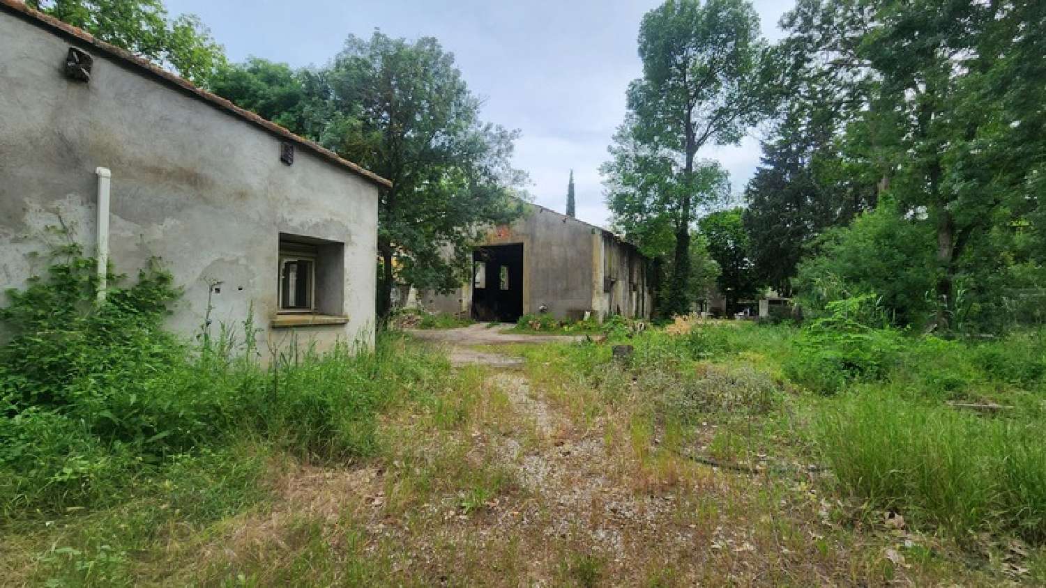 kaufen Landgut Saint-Jean-de-Védas Hérault 7
