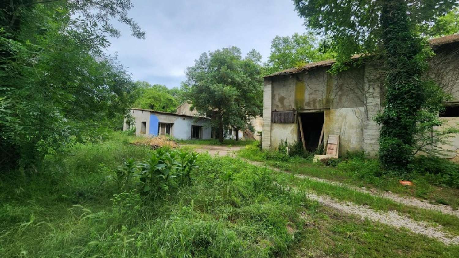 kaufen Landgut Saint-Jean-de-Védas Hérault 8