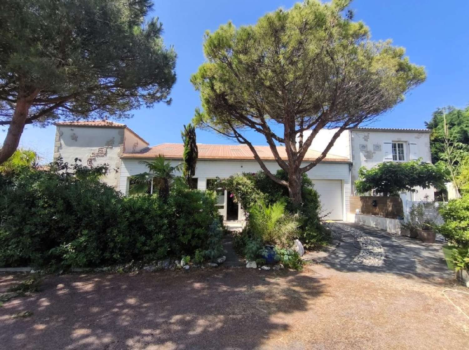  à vendre propriété Saint-Pierre-d'Oléron Charente-Maritime 1