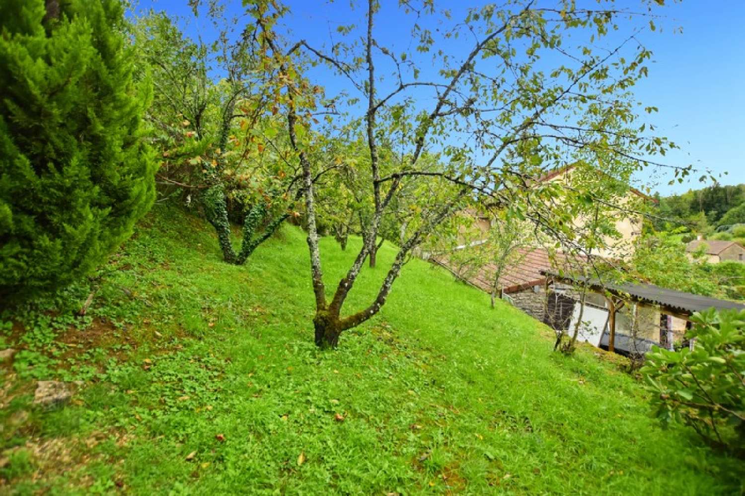 à vendre propriété Saint-Sernin-du-Plain Saône-et-Loire 7