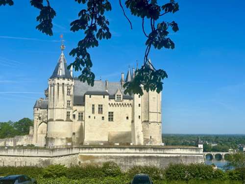 Saumur Maine-et-Loire finca rústica foto 7328196