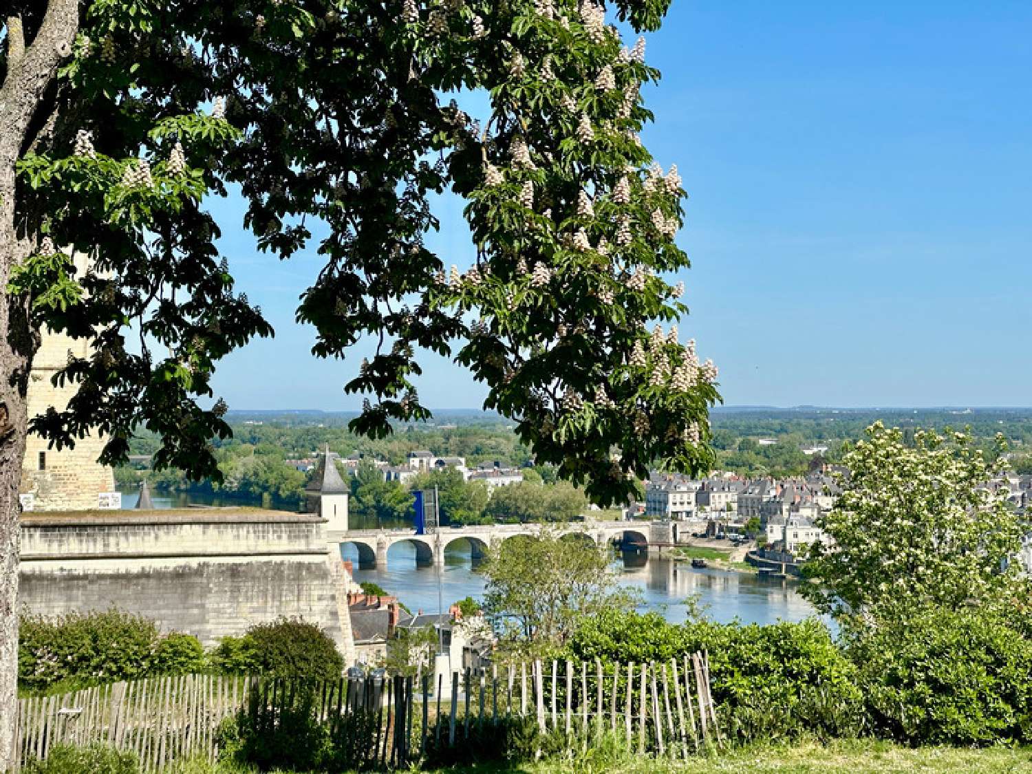  en venta finca rústica Saumur Maine-et-Loire 2