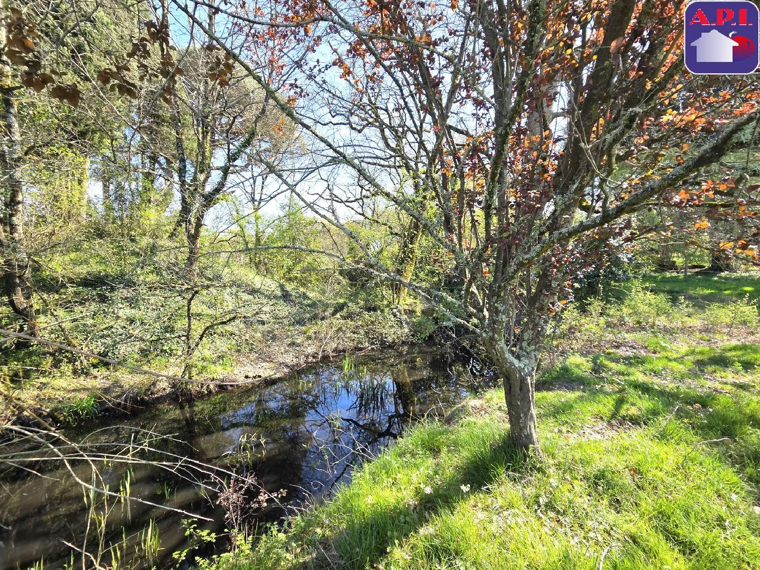  en venta finca rústica Saverdun Ariège 4