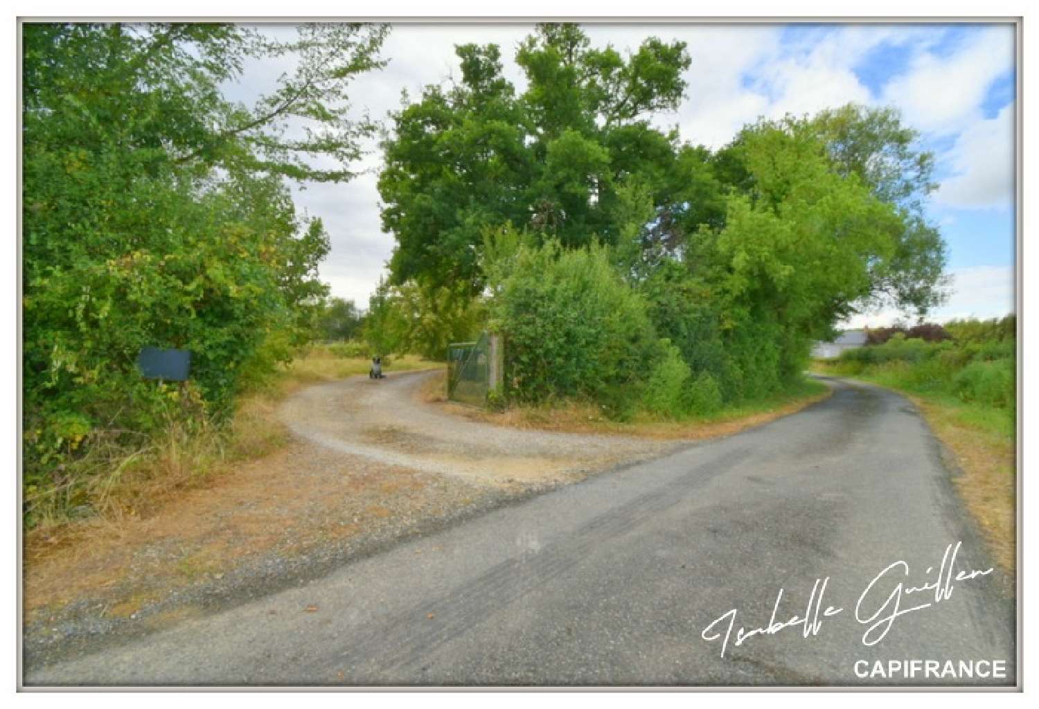  à vendre propriété Touchay Cher 6