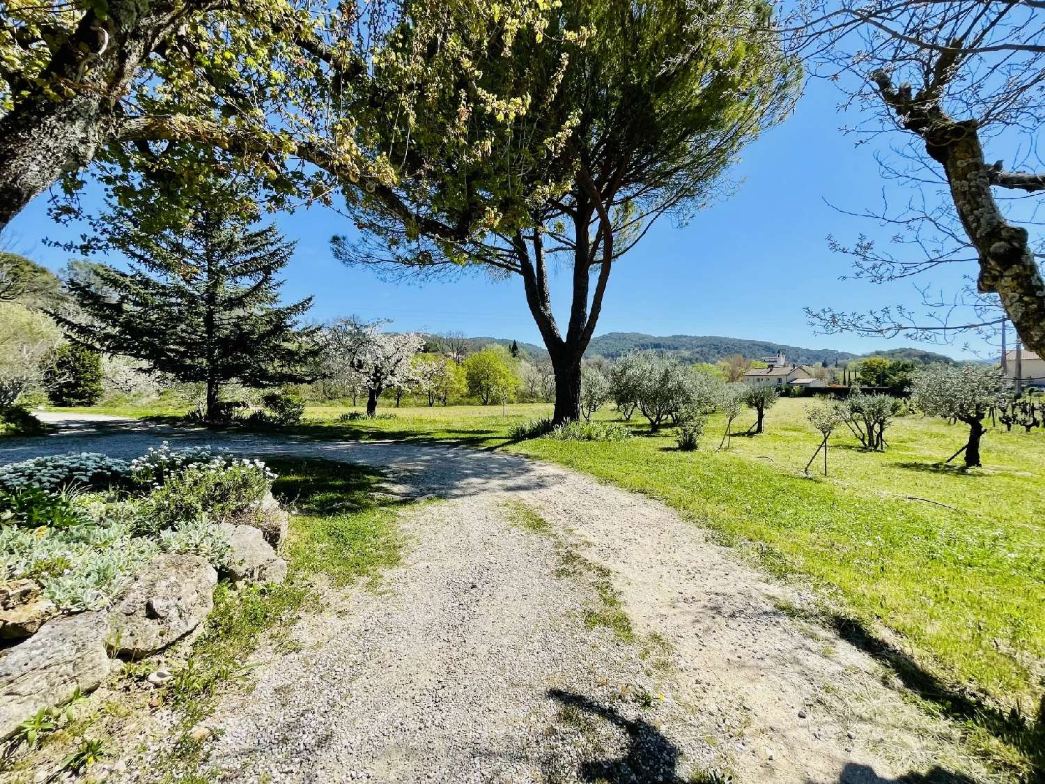  à vendre propriété Villedieu Vaucluse 4