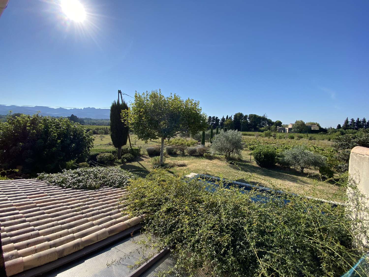  à vendre propriété Violès Vaucluse 1