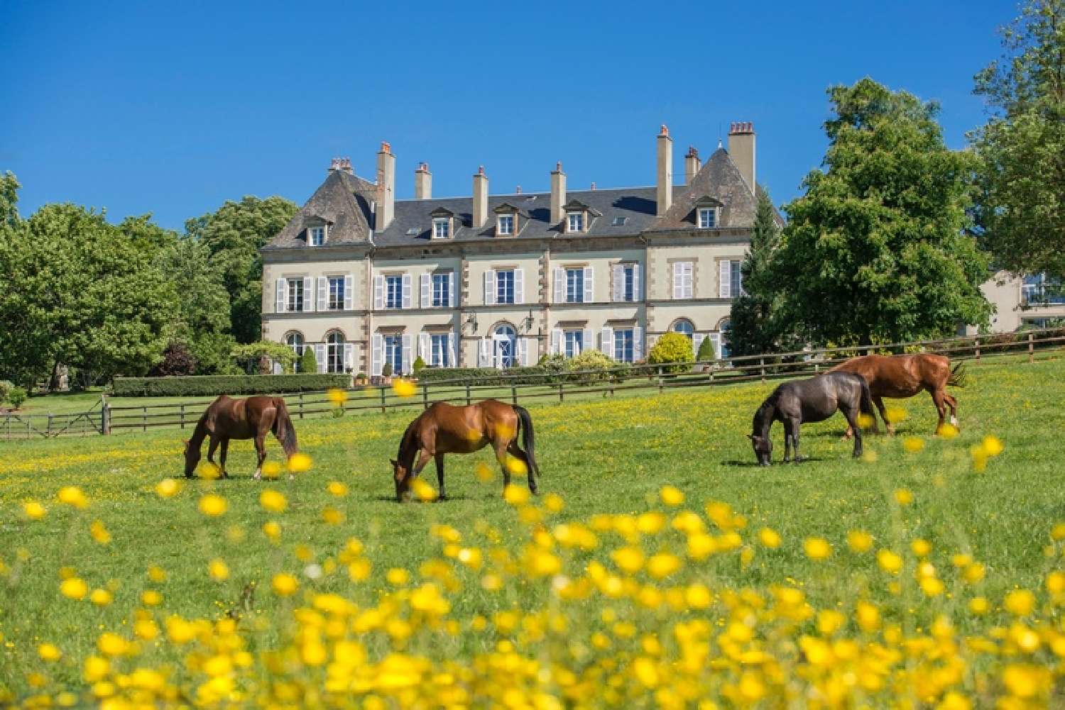  à vendre propriété Ygrande Allier 5