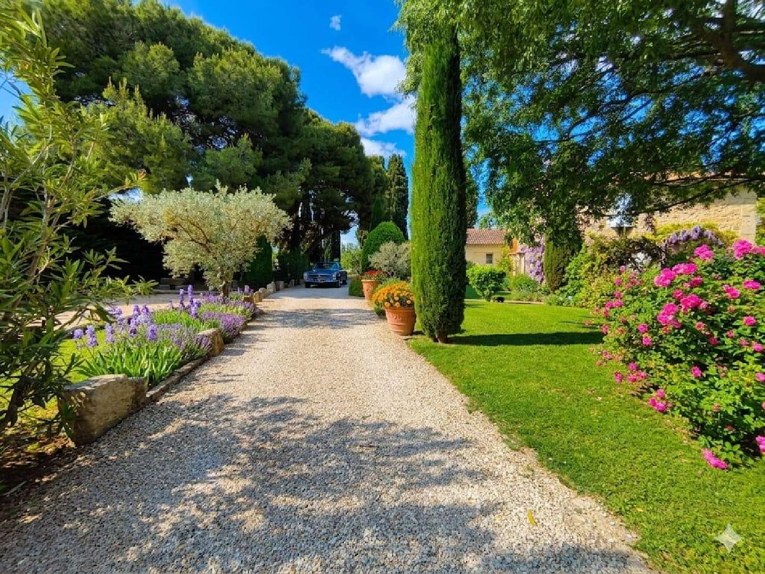  à vendre ferme Arles Bouches-du-Rhône 1