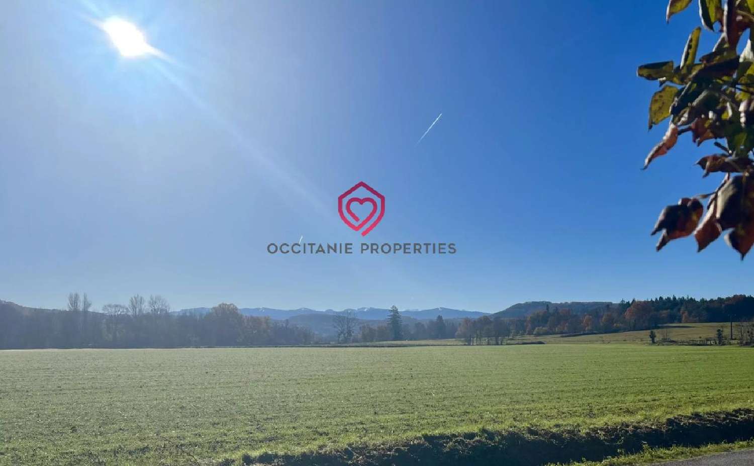  à vendre ferme Artigat Ariège 2