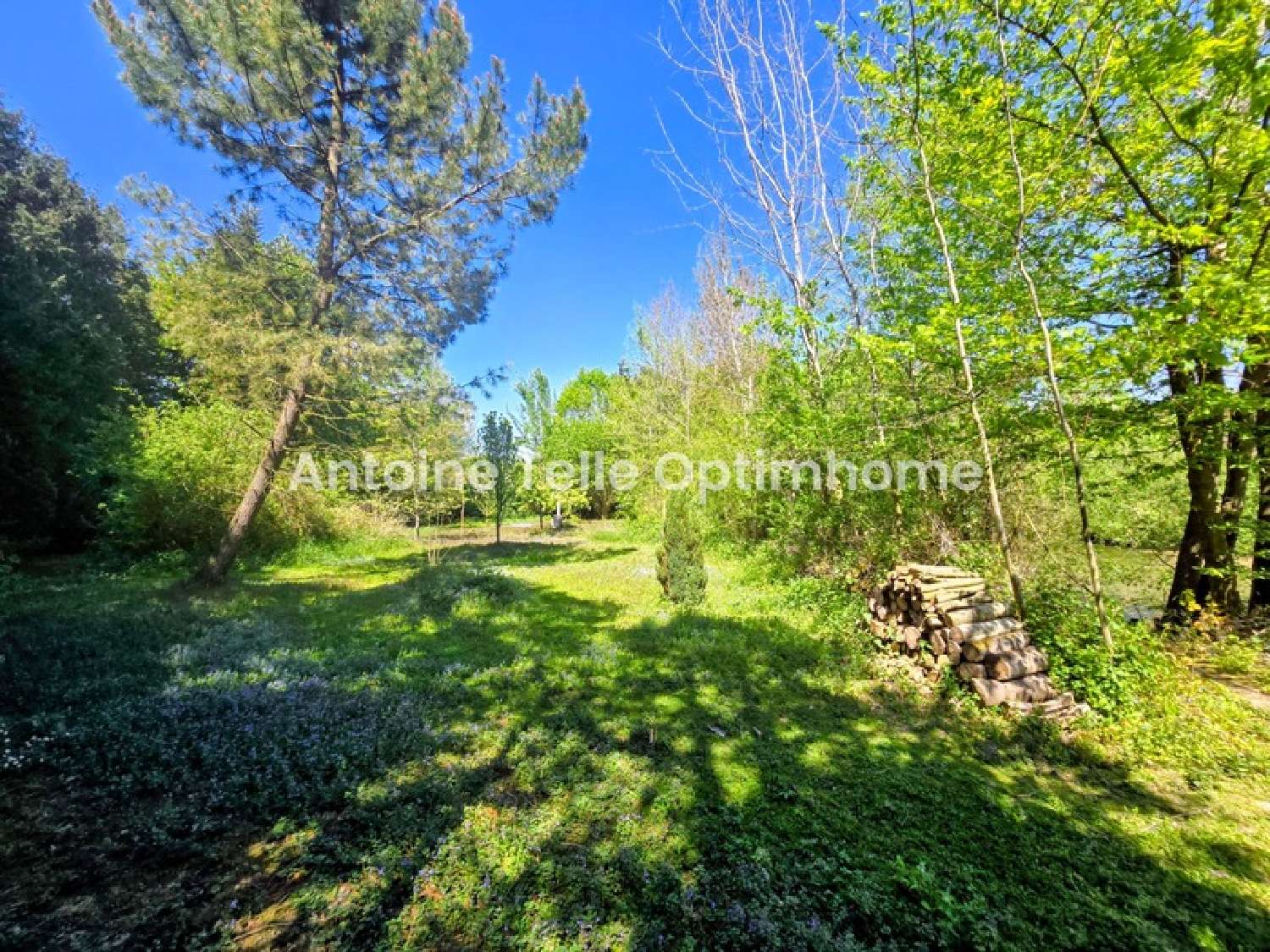  à vendre ferme Bazuel Nord 7