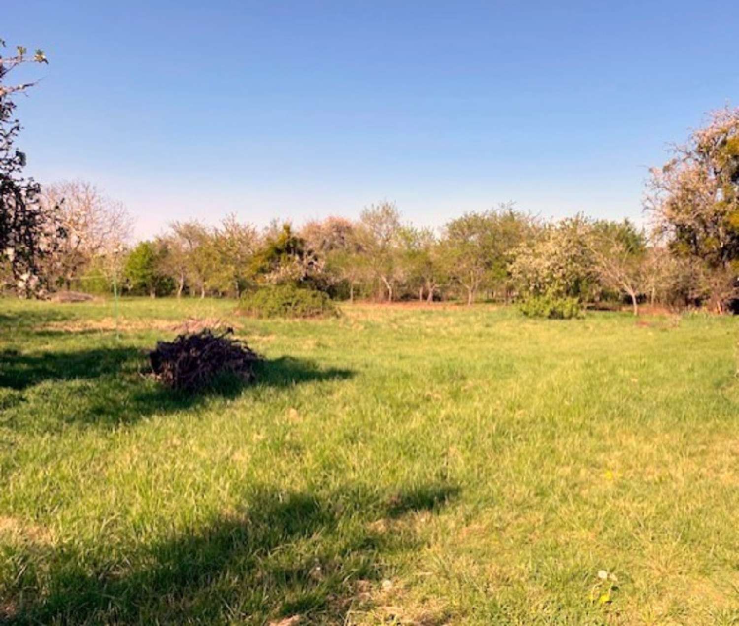  te koop boerderij Cerisiers Yonne 3