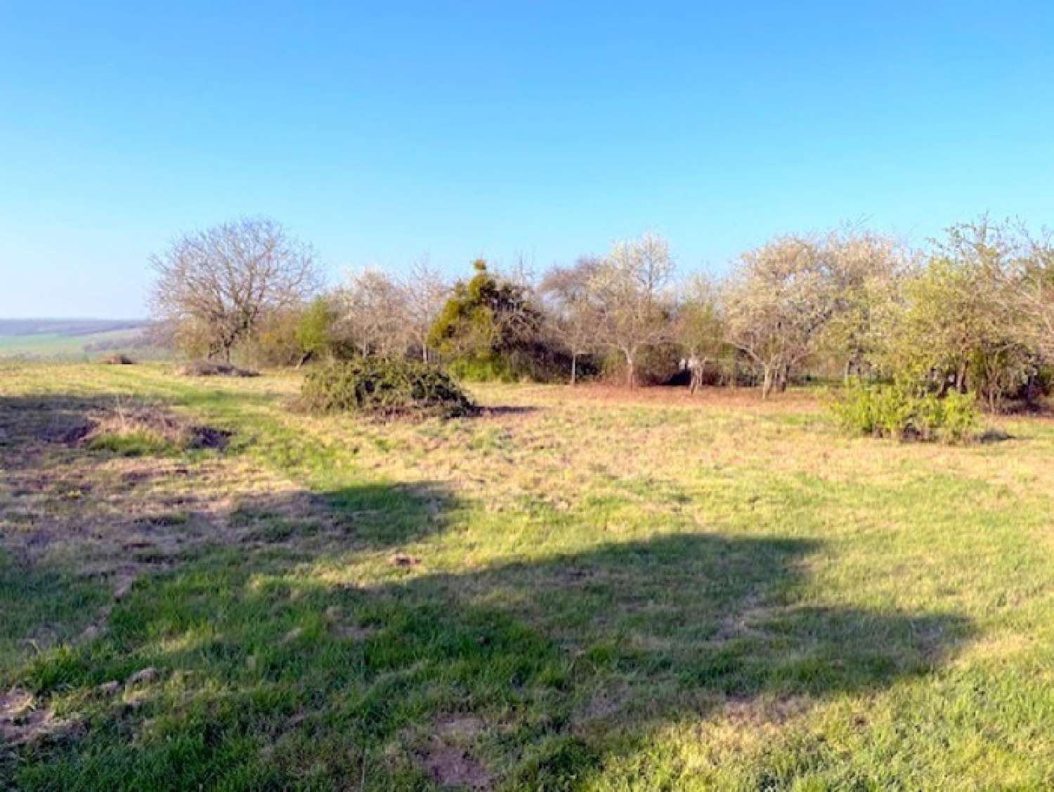 te koop boerderij Cerisiers Yonne 4