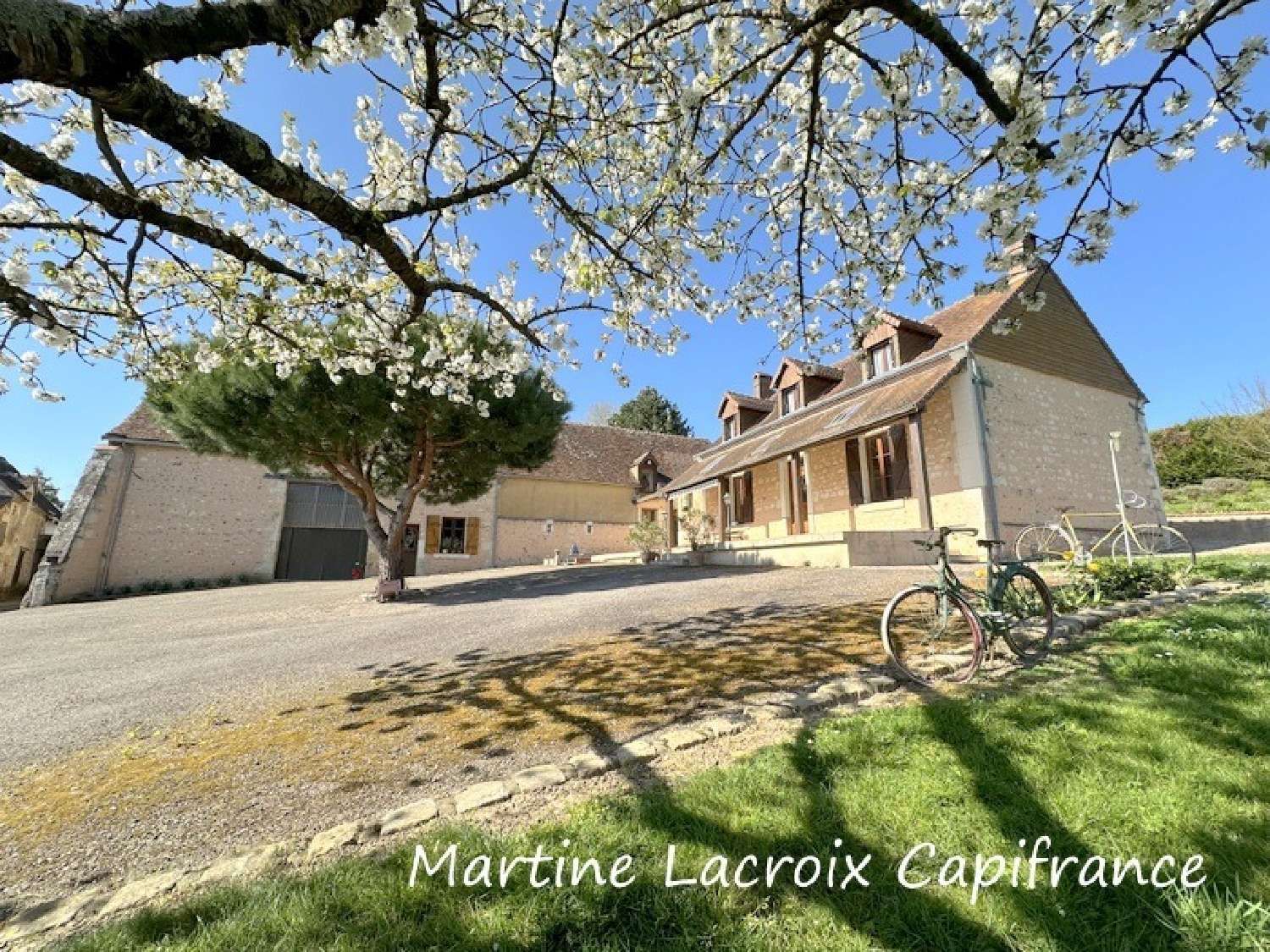 for sale farm Ceton Orne 4