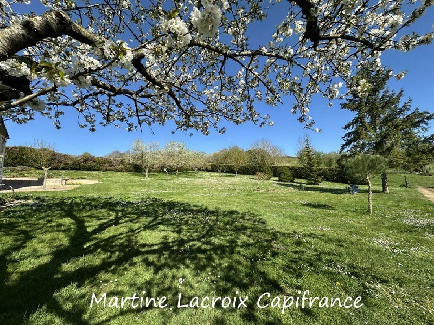 for sale farm Ceton Orne 7