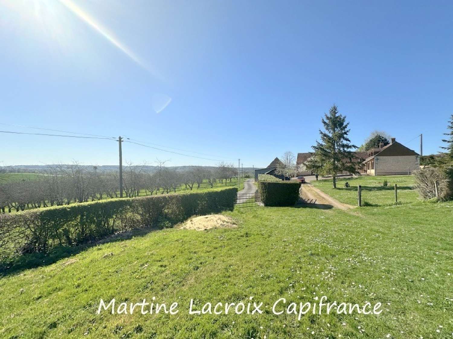 for sale farm Ceton Orne 8