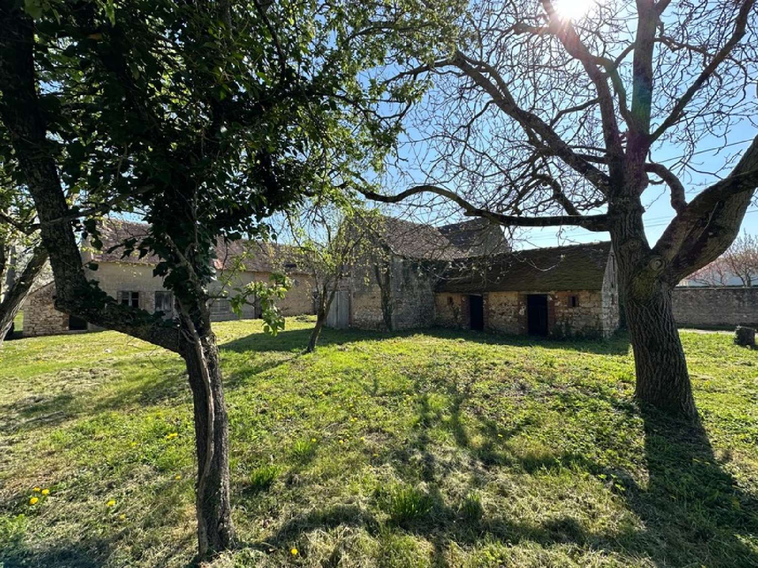 for sale farm Griselles Loiret 2