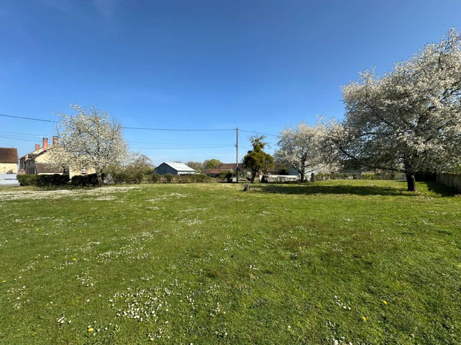 for sale farm Griselles Loiret 4