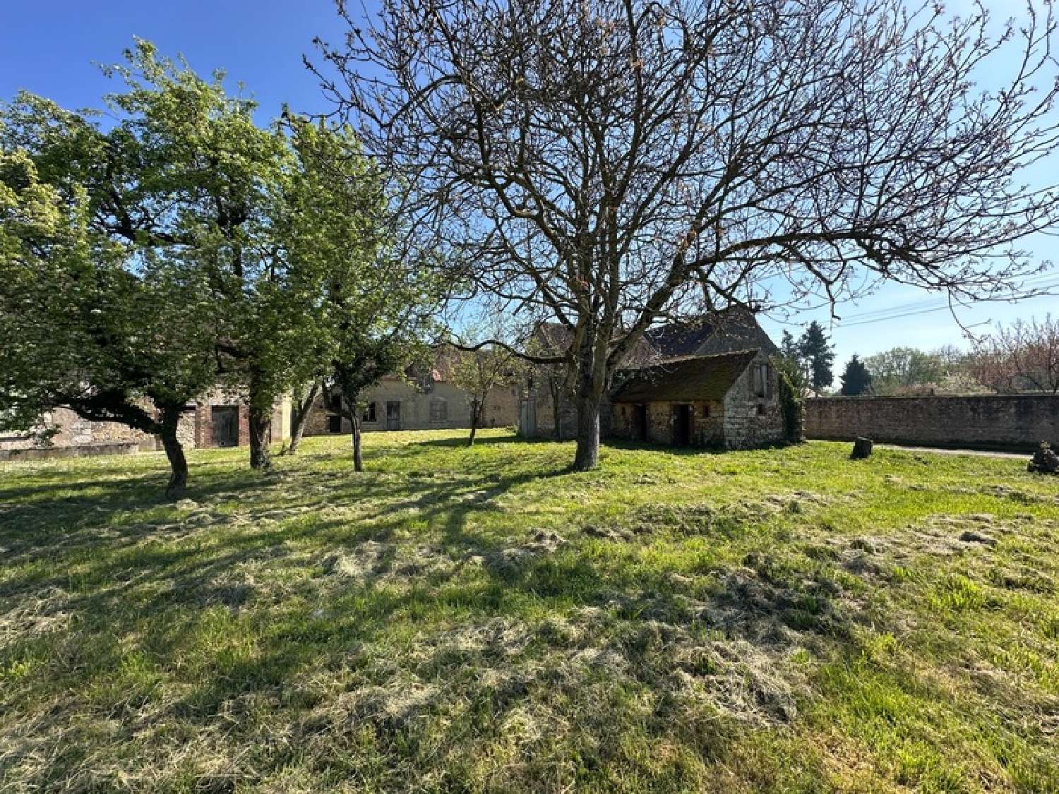 for sale farm Griselles Loiret 5