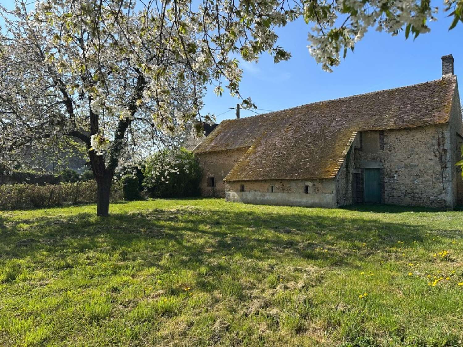 for sale farm Griselles Loiret 8