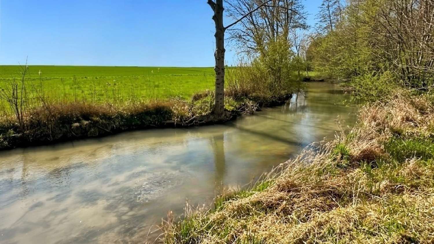 for sale farm Juniville Ardennes 6