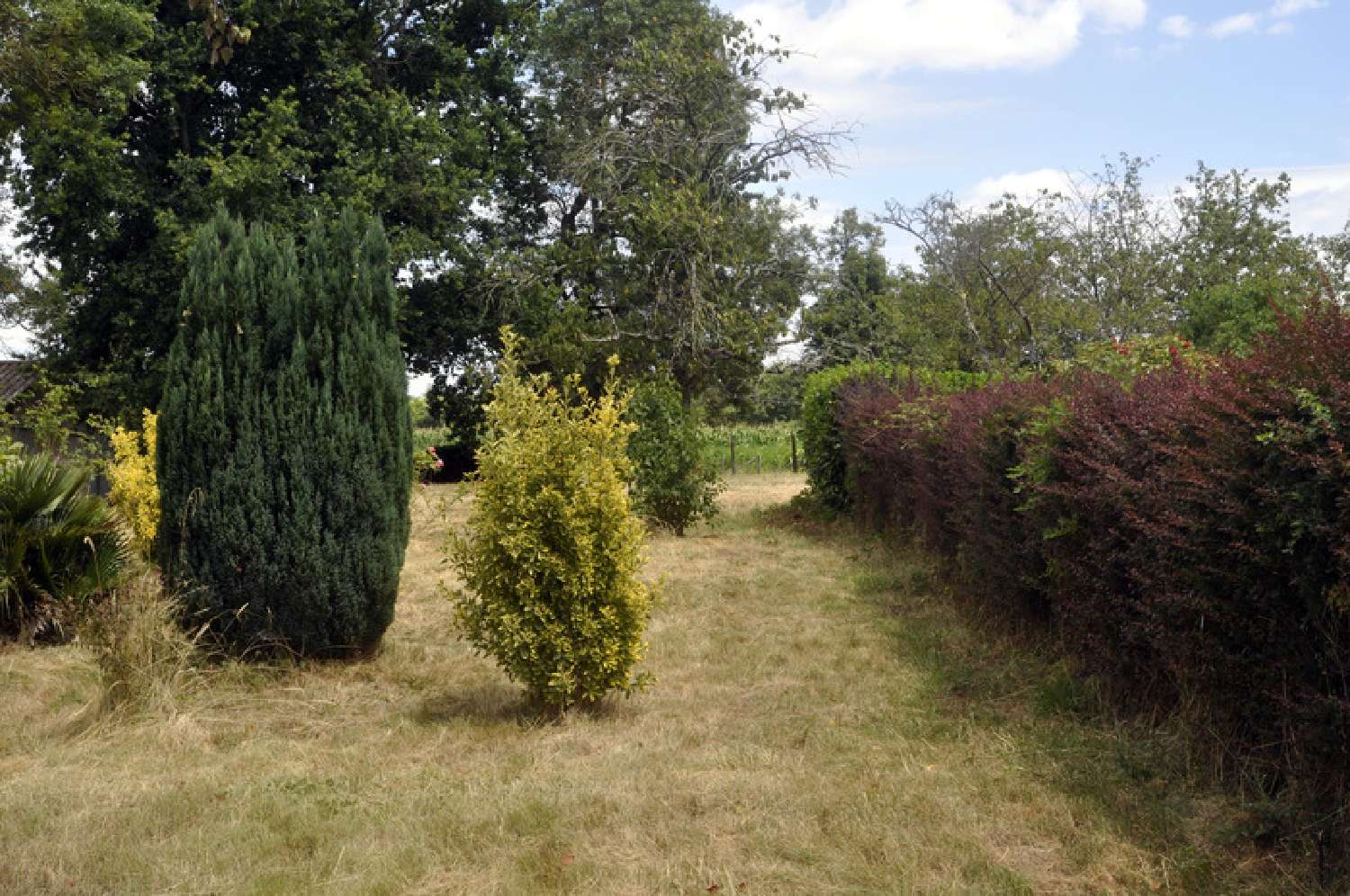  à vendre ferme L'Abergement-de-Cuisery Saône-et-Loire 2