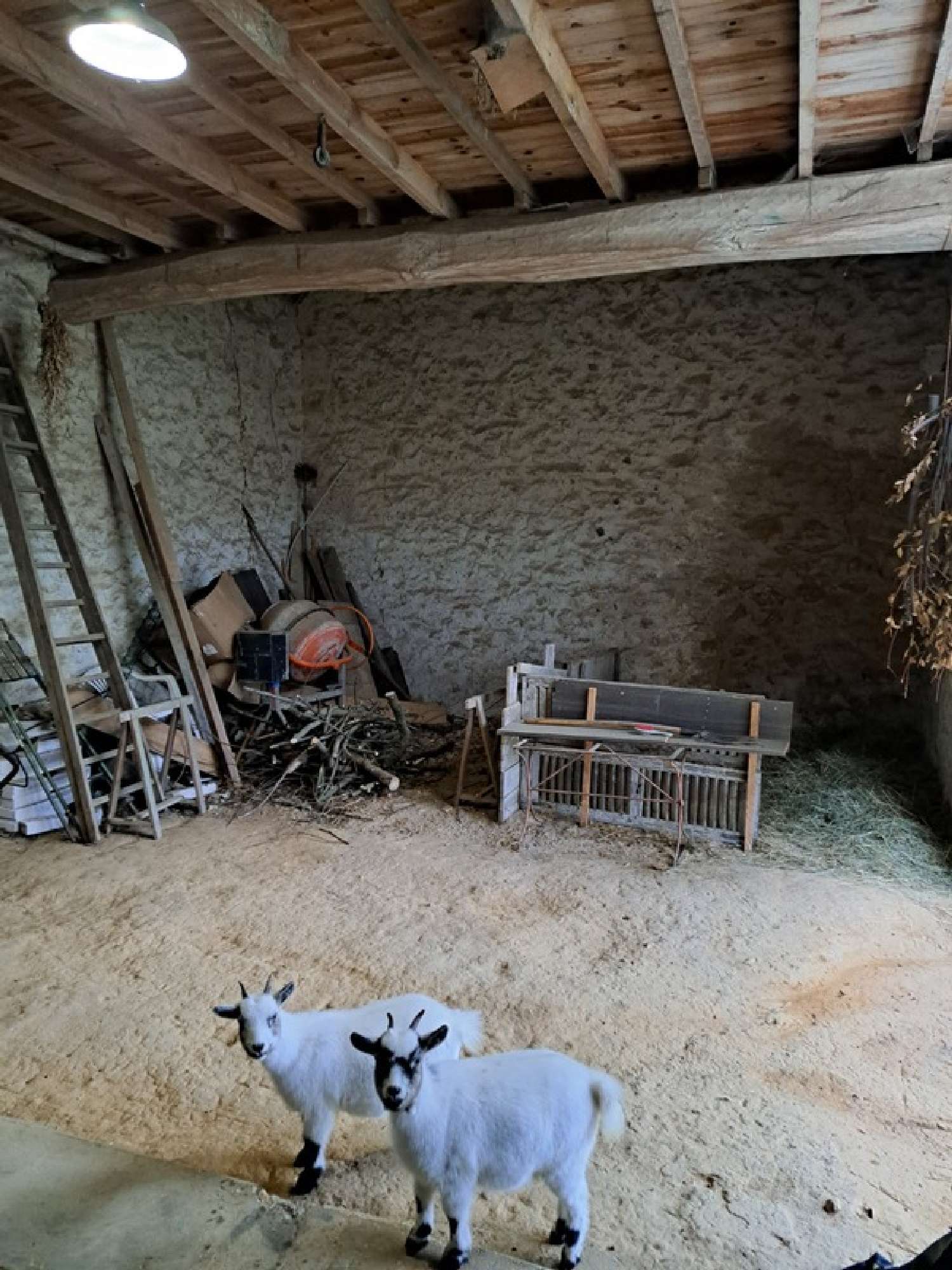  for sale farm La Brosse-Montceaux Seine-et-Marne 4