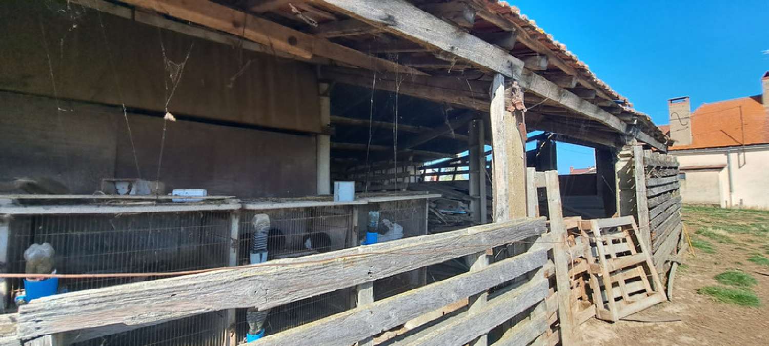  for sale farm Les Guerreaux Saône-et-Loire 4