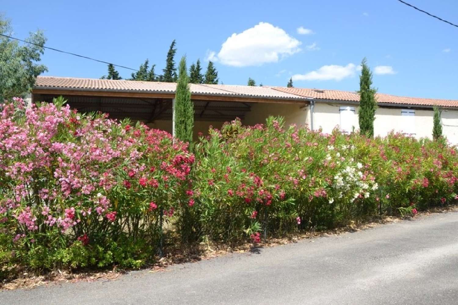  for sale farm Mazerolles-du-Razès Aude 5
