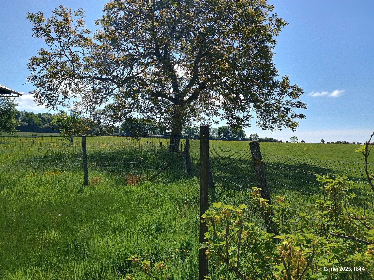  for sale farm Morgny-en-Thiérache Aisne 2
