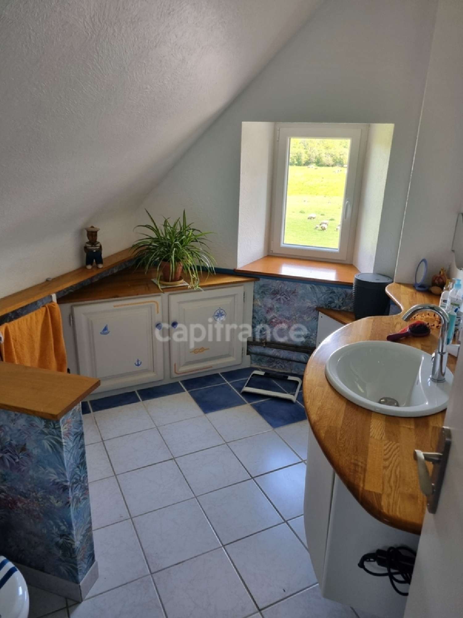  for sale farm Neuvillalais Sarthe 4
