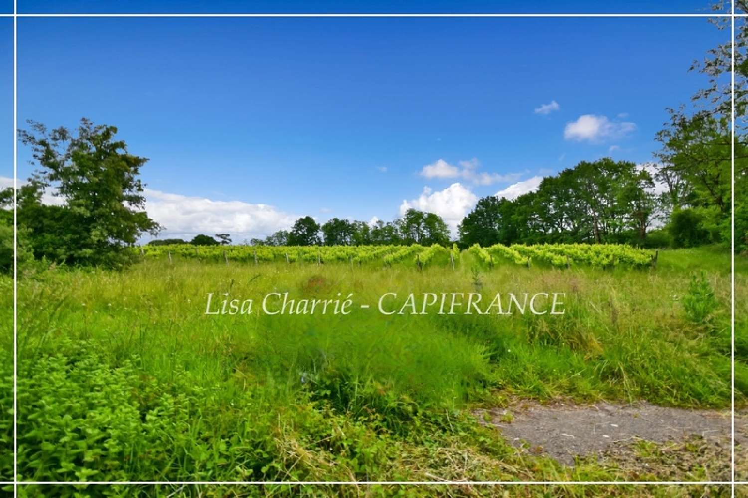 en venta casa rústica Nogaro Gers 4