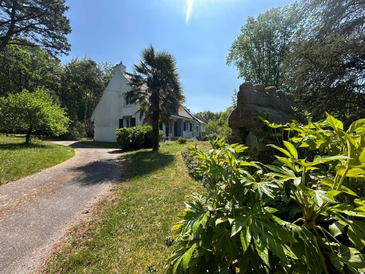 te koop boerderij Pluméliau Morbihan 3