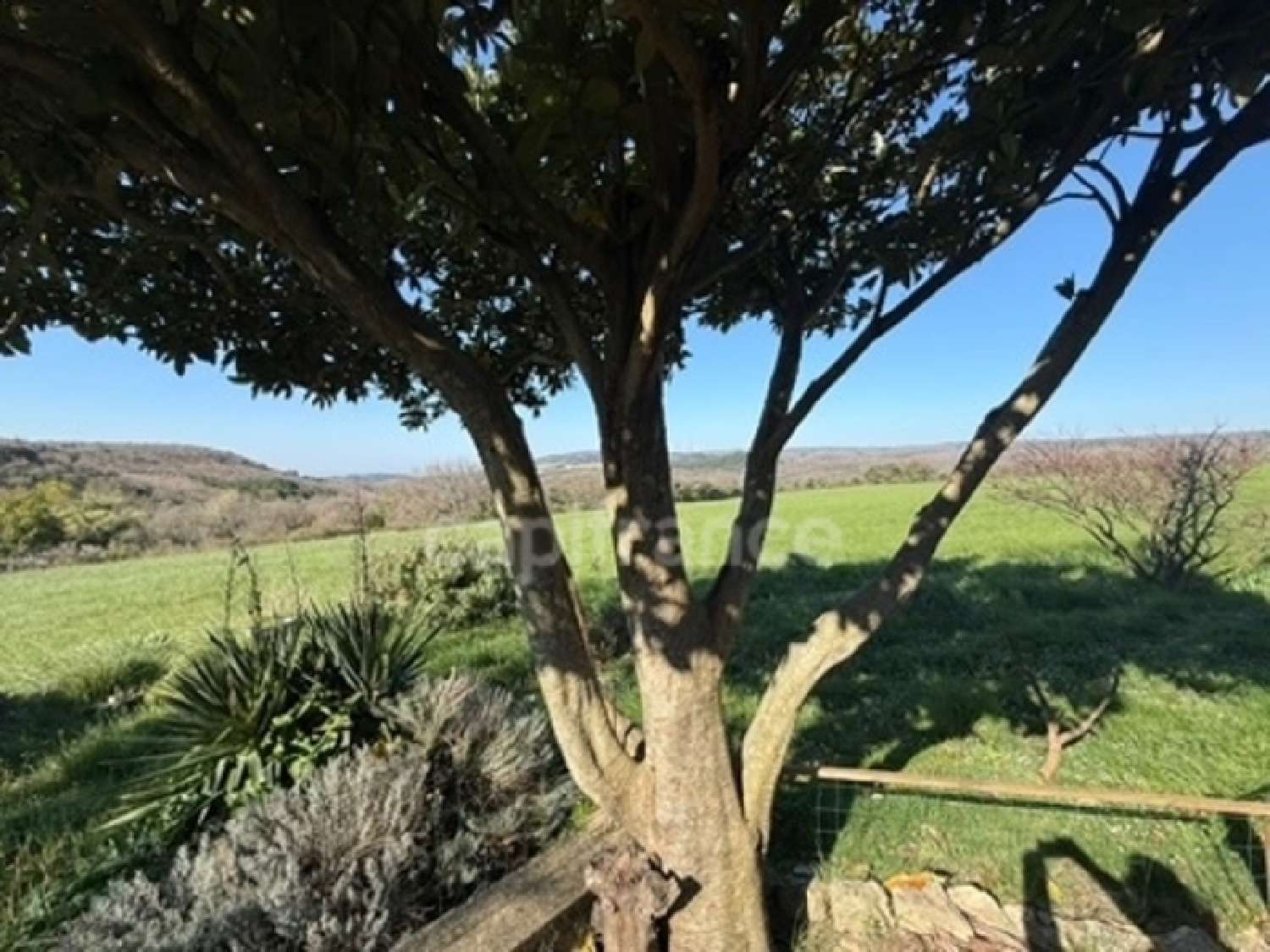 for sale farm Réauville Drôme 4