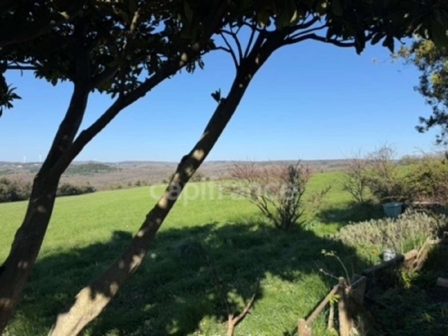  for sale farm Réauville Drôme 5