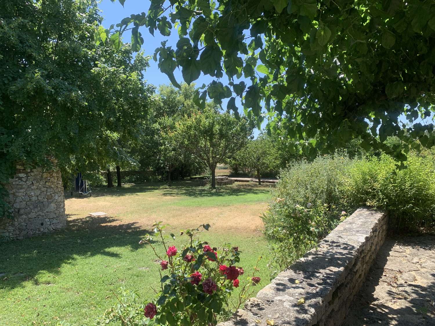 for sale farm Rustrel Vaucluse 4