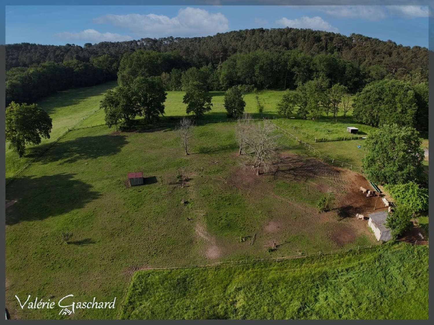  for sale farm Saint-Sauveur-de-Puynormand Gironde 4